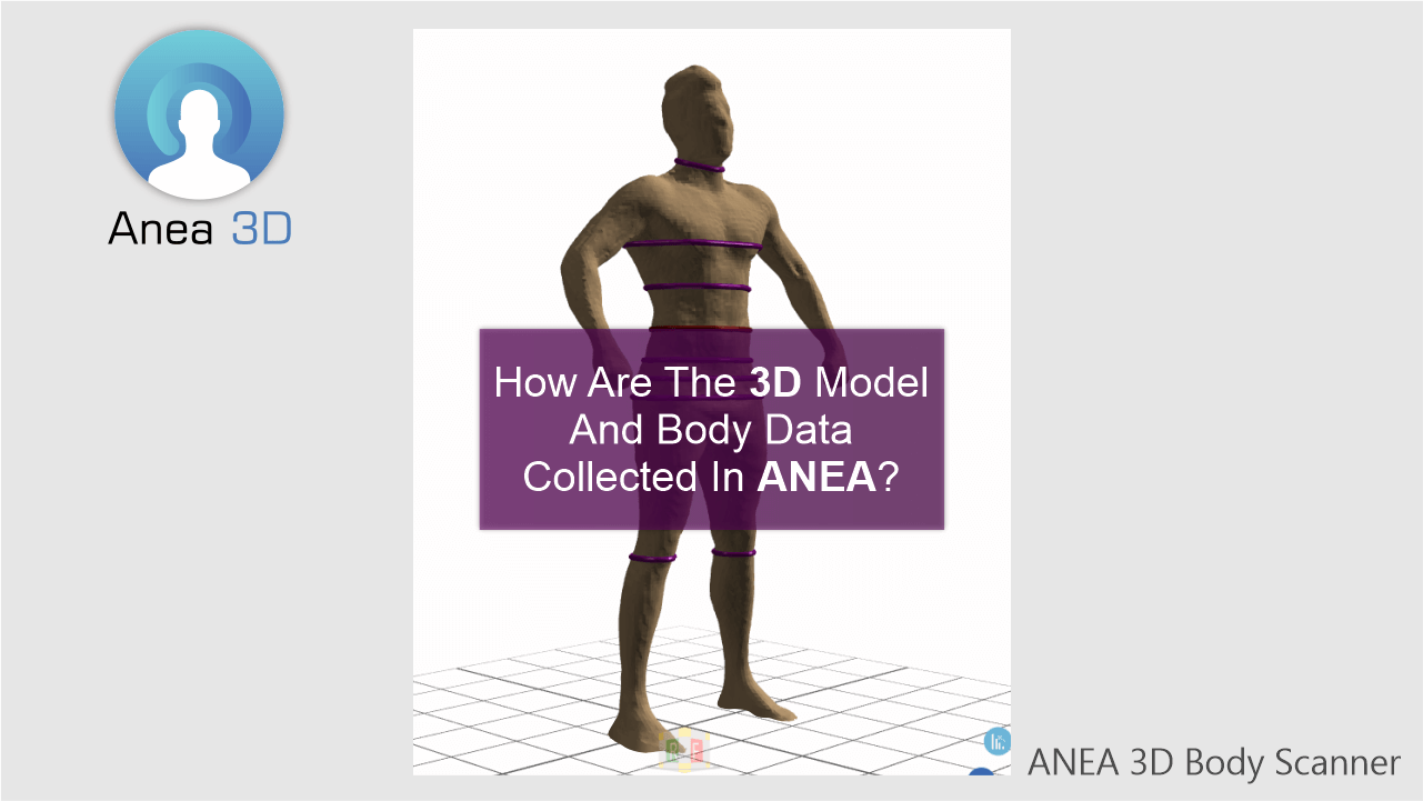 3d Model - How 3D model obtained in 3D body scanner?