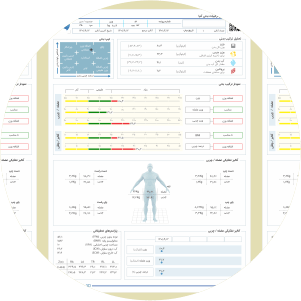 BIA 290 Body Elements Analysis Manual Laboratory Weighing Balance For  Beauty Care Reduce Body BIA Composition And Analyze Beauty Weight From  Easonbeautymachine, $2,956.71