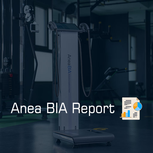 Anea BIA Report Cover