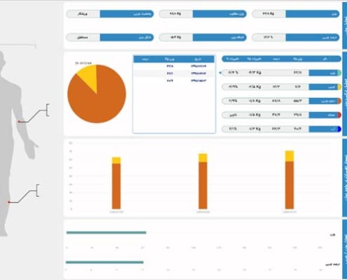 صفحه ترکیب بدنی در نرم‌افزار آنیا