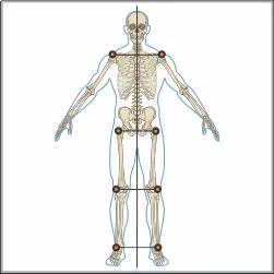 Posture-Analysis