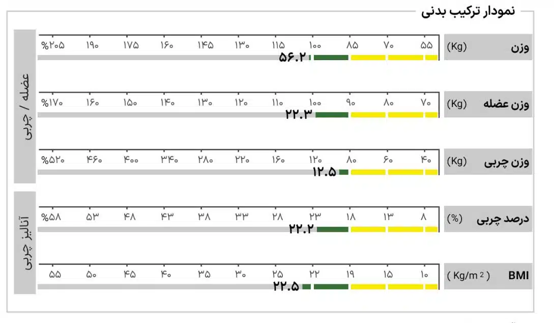 نمودار-ترکیب-بدنی