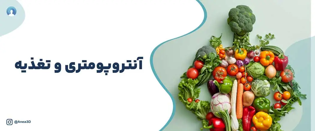 آنتروپومتری و تغذیه