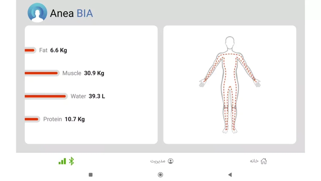 هنگام آنالیز