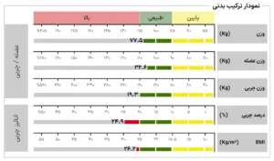 چارت ترکیب بدنی