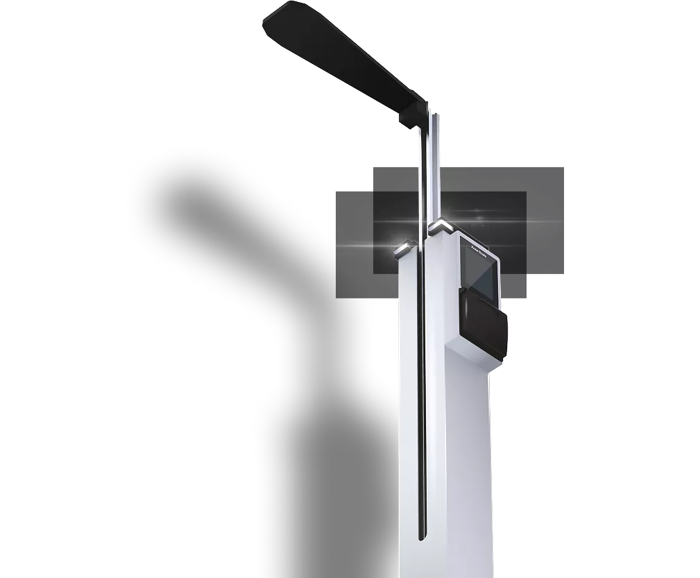 anea scale