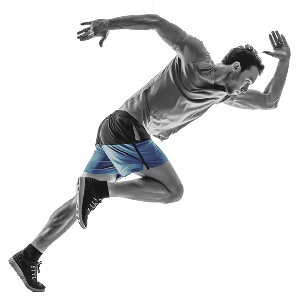 anea fitness