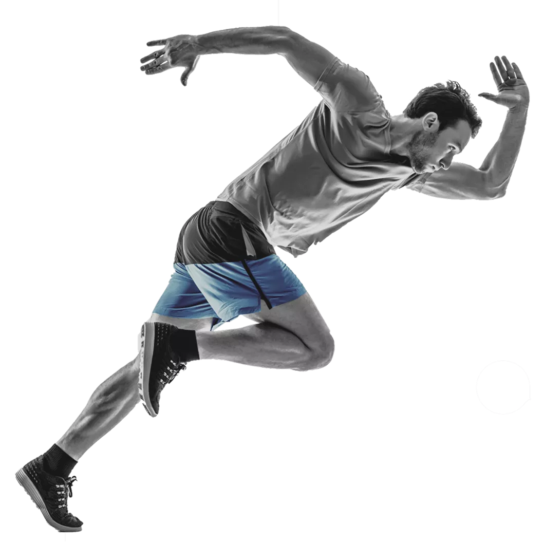 anea fitness